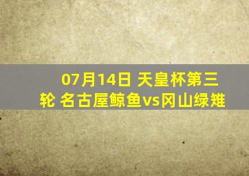 07月14日 天皇杯第三轮 名古屋鲸鱼vs冈山绿雉